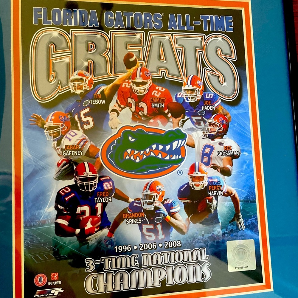 Florida gator